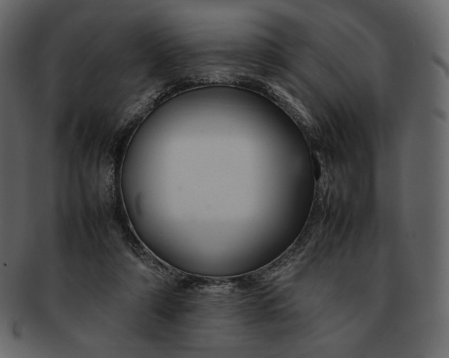 X0000092280306200710051148