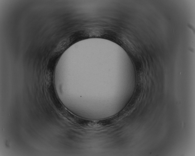 X0000092280311200710051148