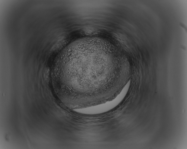 X0000092280319200710051148