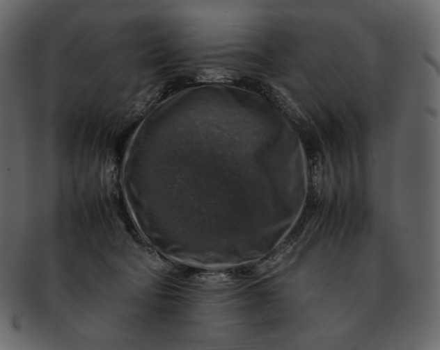 X0000092280322200710051148