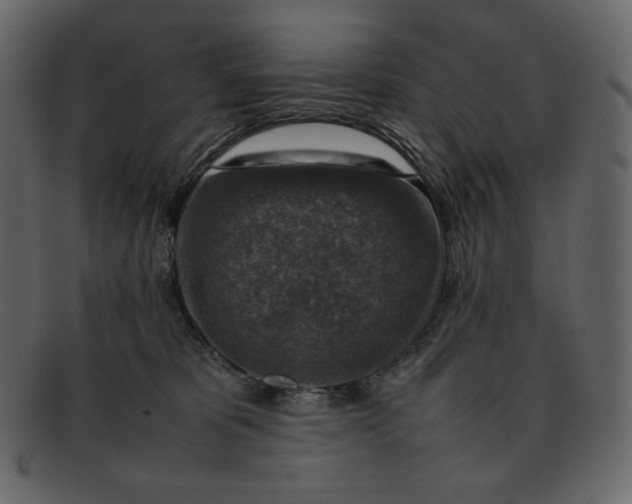 X0000092280325200710051148