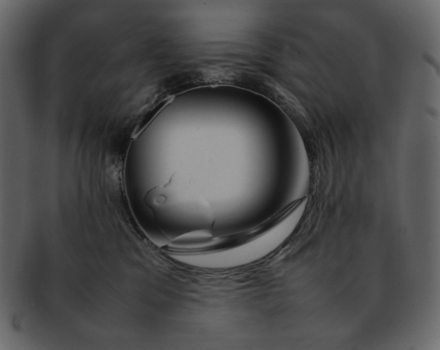 X0000092280329200710051148