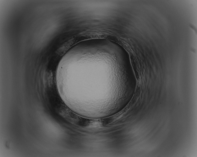 X0000092280335200710051148