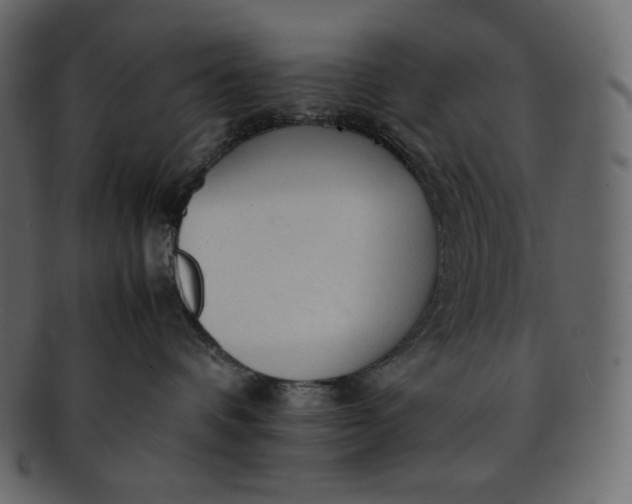 X0000092280336200710051148