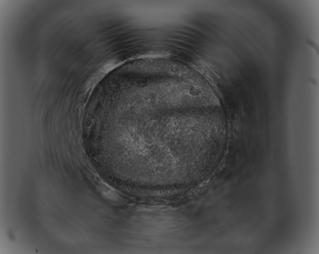X0000092280337200710051147