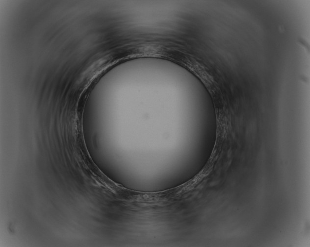 X0000092280338200710051147