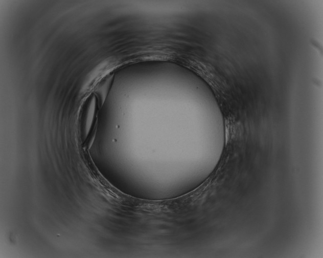 X0000092280339200710051147