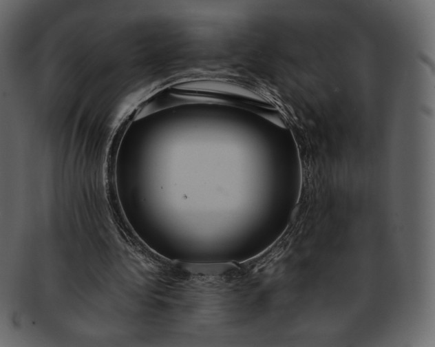 X0000092280340200710051147