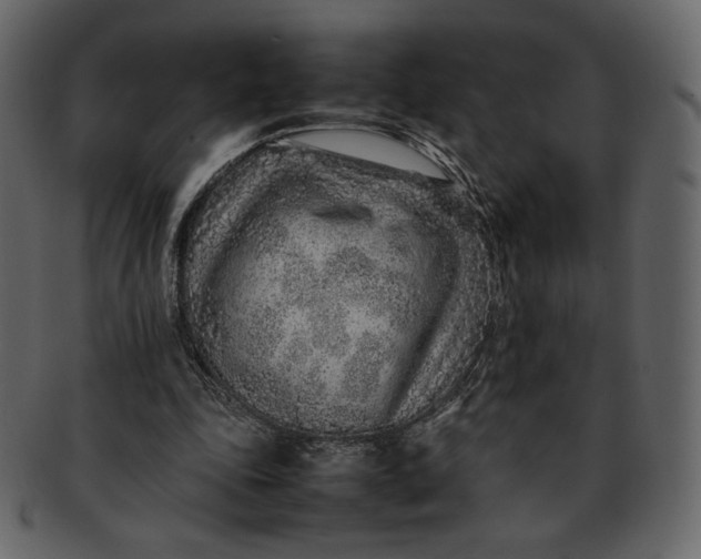 X0000092280343200710051147
