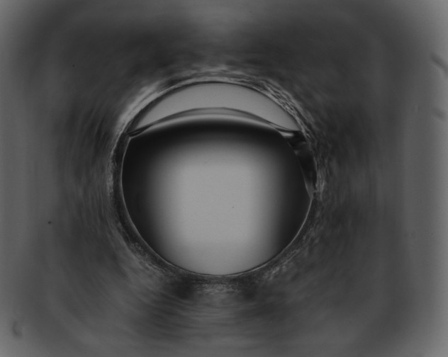 X0000092280344200710051147