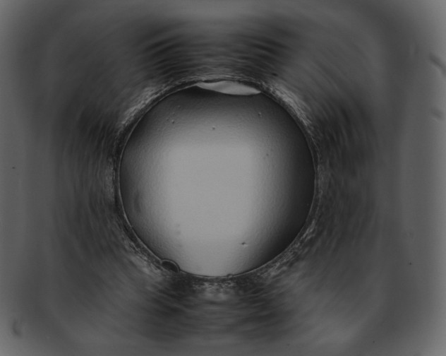 X0000092280345200710051147