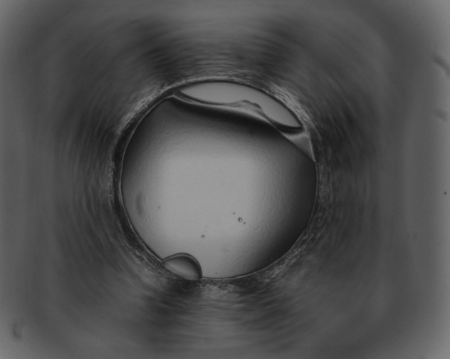 X0000092280346200710051147