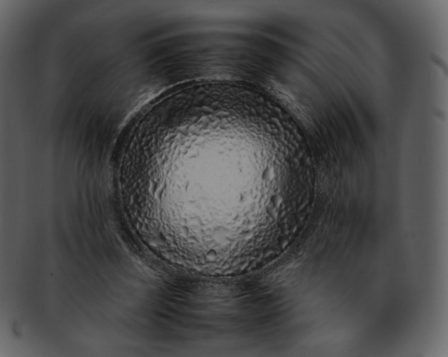 X0000092280347200710051147