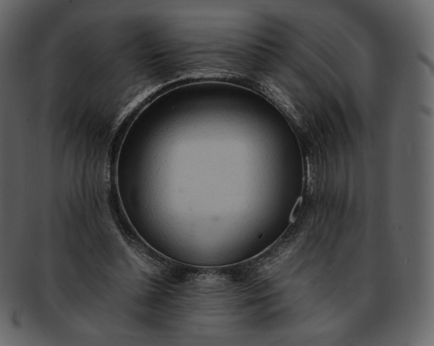 X0000092280348200710051147