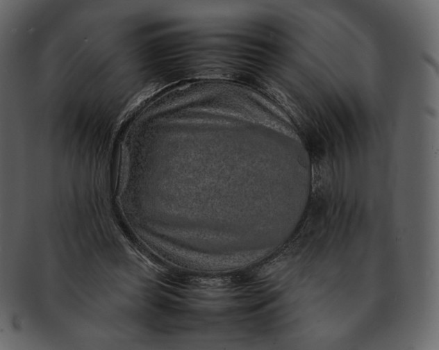 X0000092280349200710051147