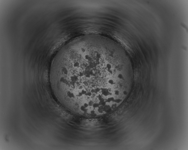 X0000092280353200710051148