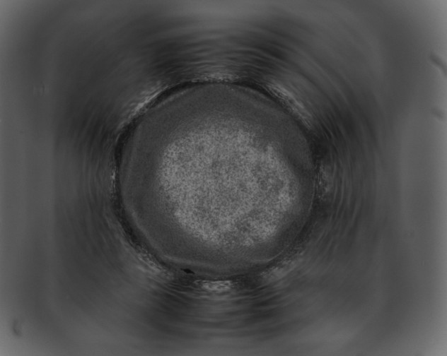 X0000092280355200710051148