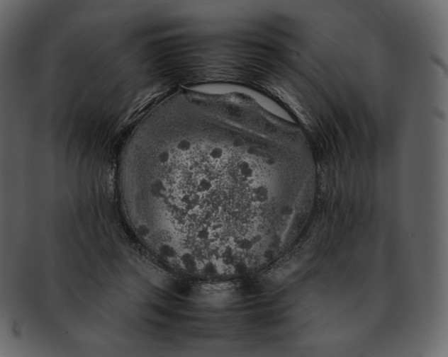 X0000092280357200710051148