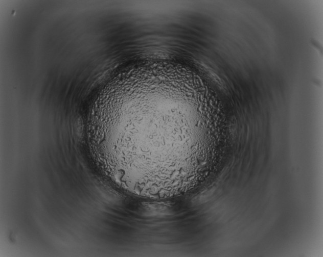 X0000092280359200710051148