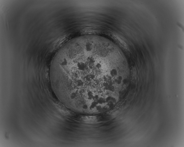 X0000092280361200710051148