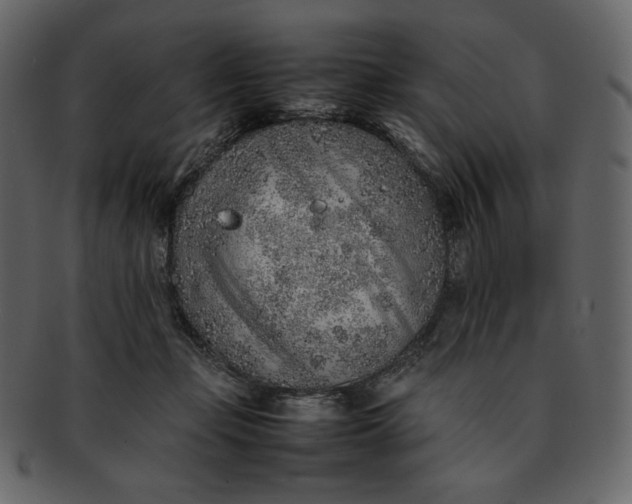 X0000092280365200710051148