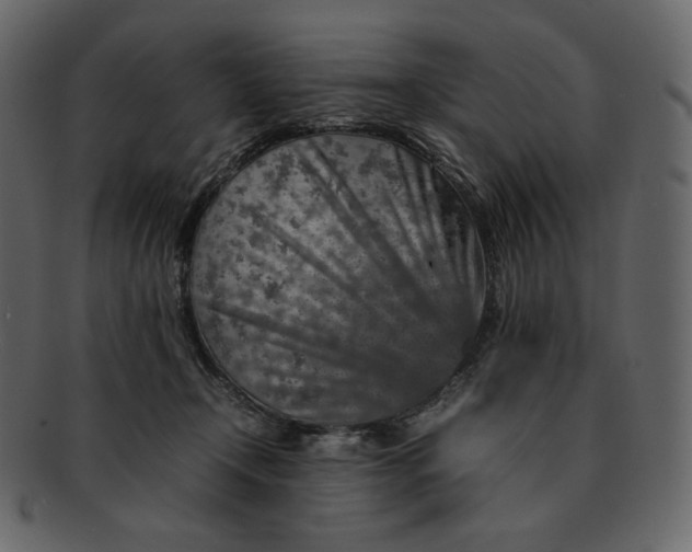 X0000092280366200710051148