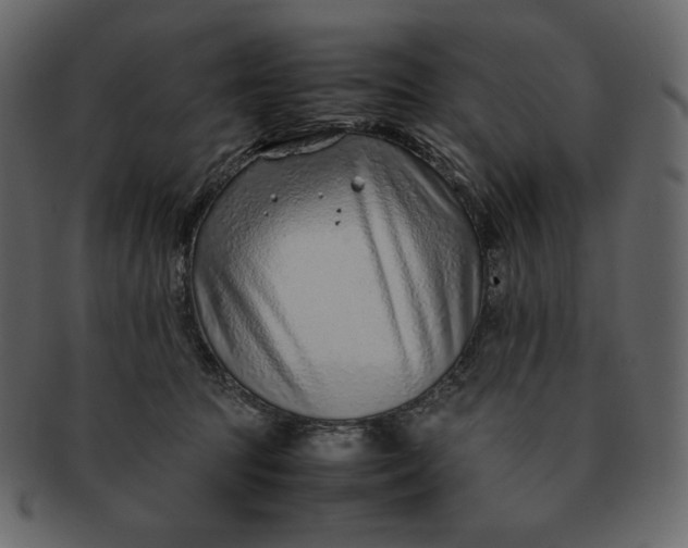 X0000092280369200710051148