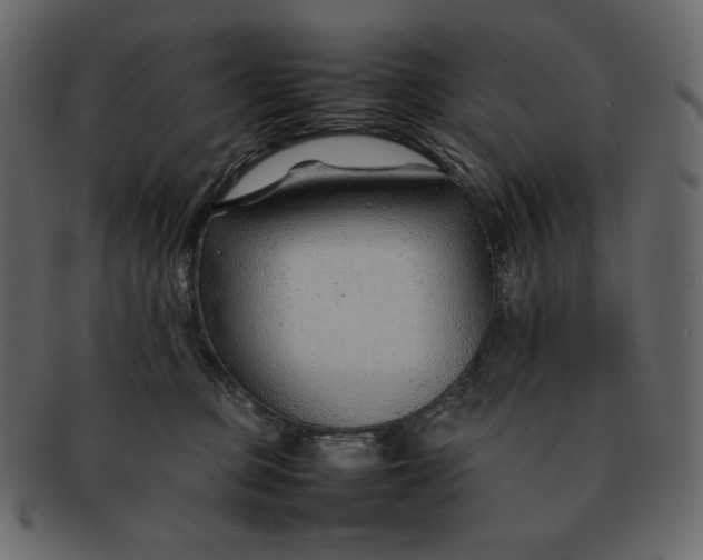 X0000092280373200710051148