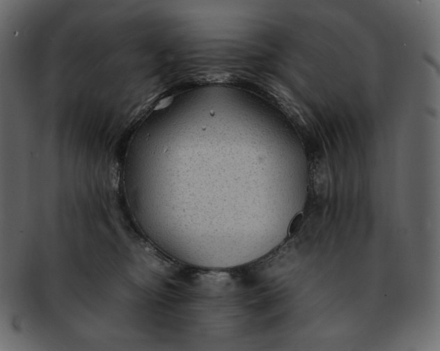 X0000092280374200710051148