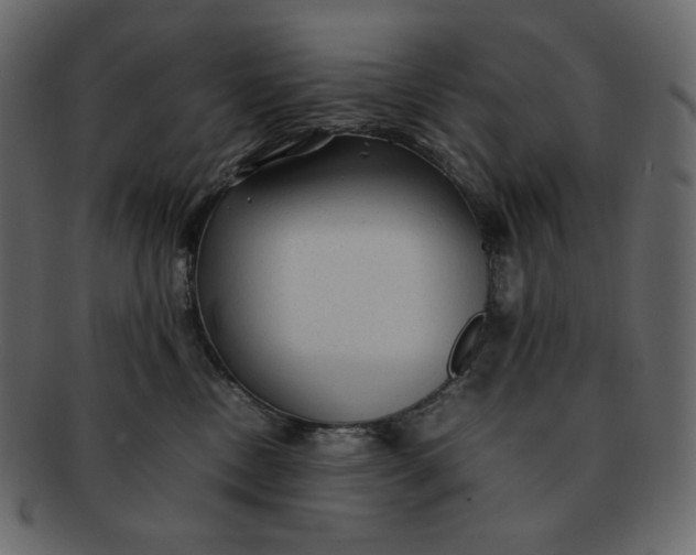X0000092280378200710051148
