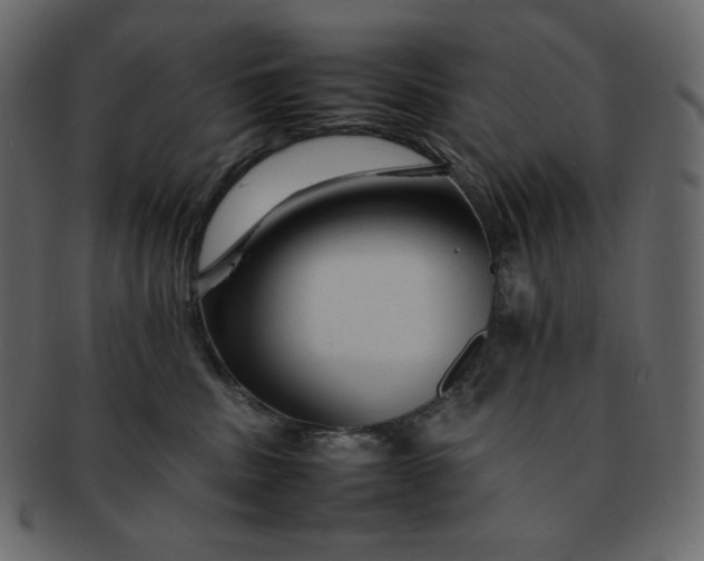 X0000092280379200710051148