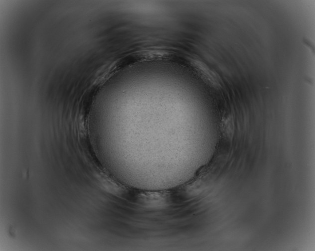 X0000092280381200710051148