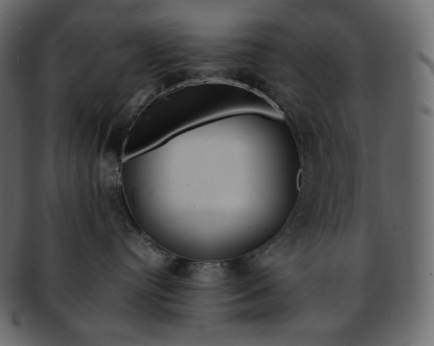 X0000092280384200710051148