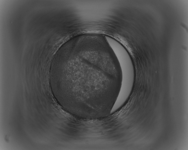 X0000092280385200710051147
