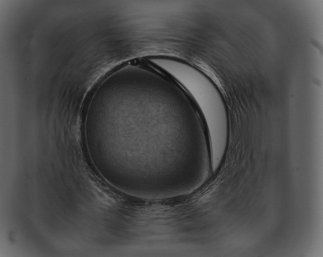X0000092280387200710051147