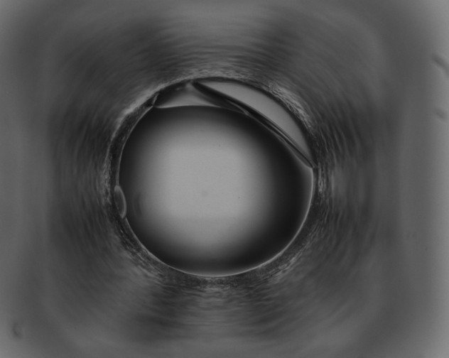 X0000092280388200710051147