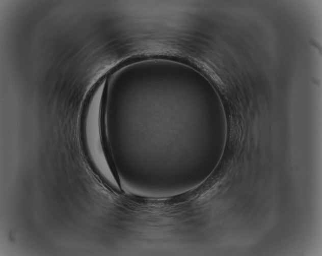 X0000092280391200710051147