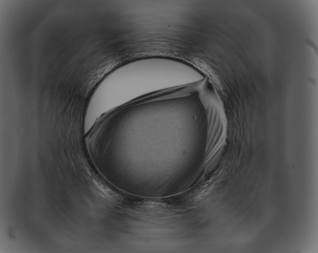 X0000092280393200710051147