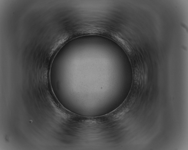 X0000092280394200710051147