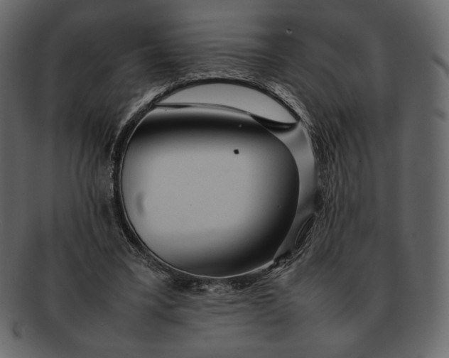 X0000092280395200710051147