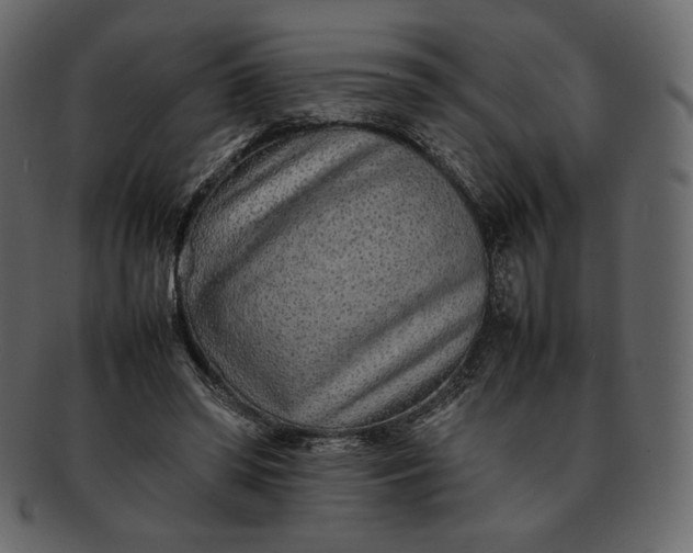 X0000092280398200710051147