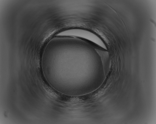 X0000092280399200710051147