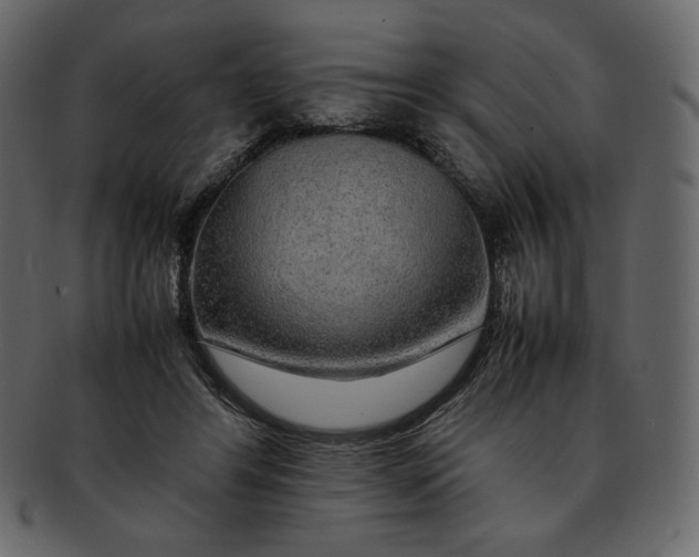 X0000092280404200710051147
