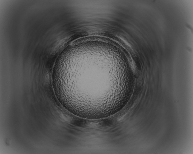 X0000092280405200710051147