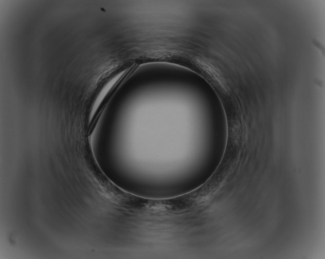X0000092280407200710051147