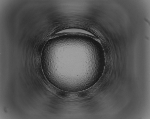 X0000092280409200710051147