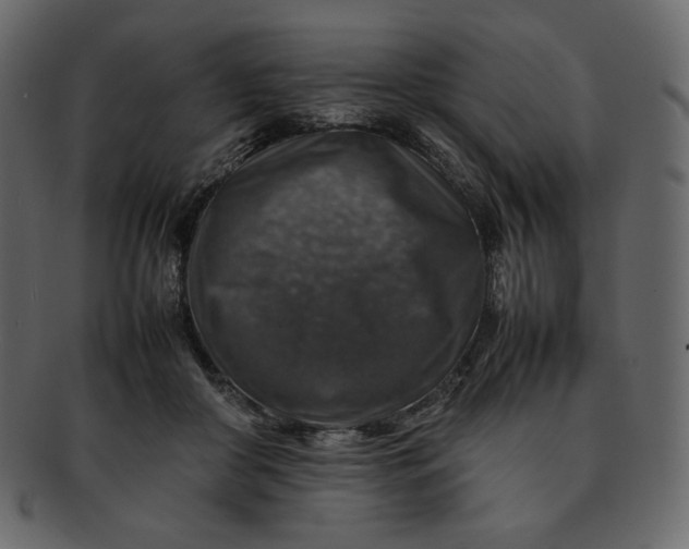 X0000092280410200710051147