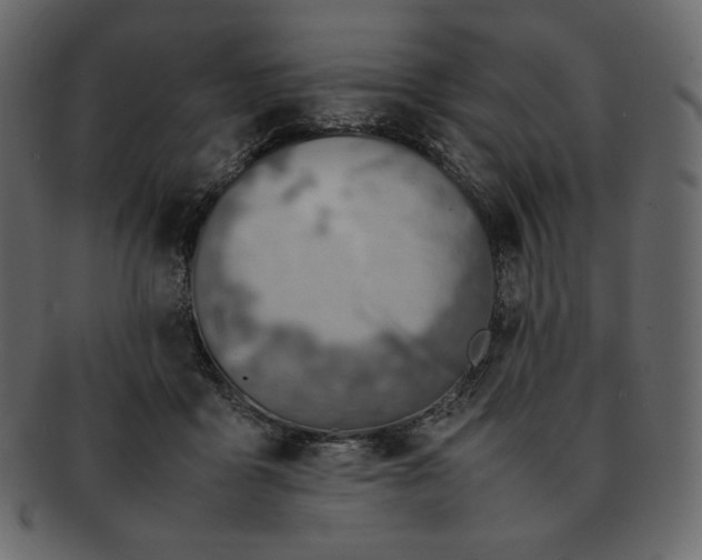 X0000092280411200710051147