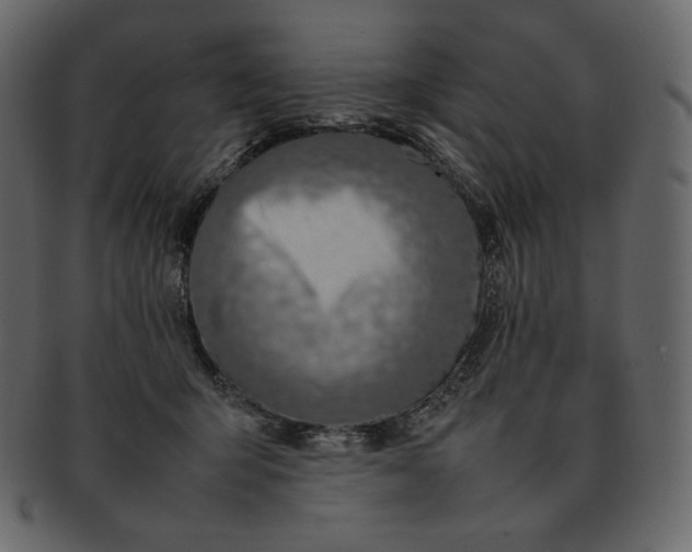 X0000092280415200710051147