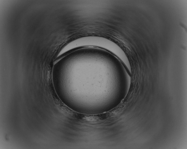 X0000092280417200710051147